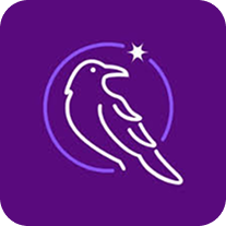 Seer icon